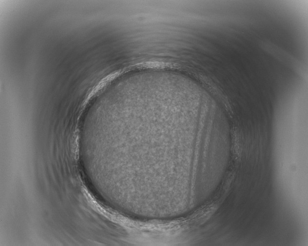 X0000085810016200703301537