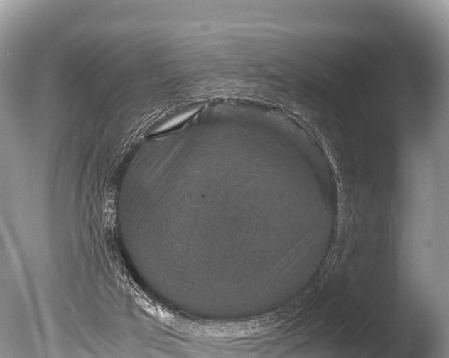 X0000085810017200703301537