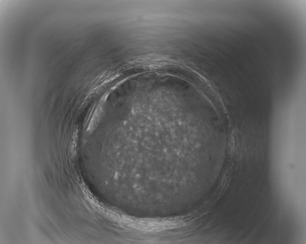 X0000085810018200703301537