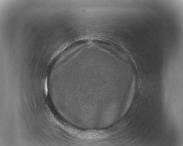 X0000085810020200703301537