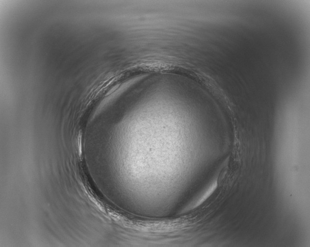 X0000085810021200703301537