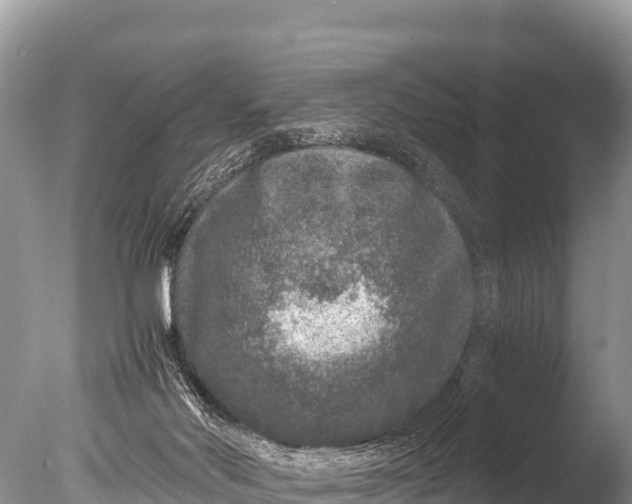 X0000085810022200703301537