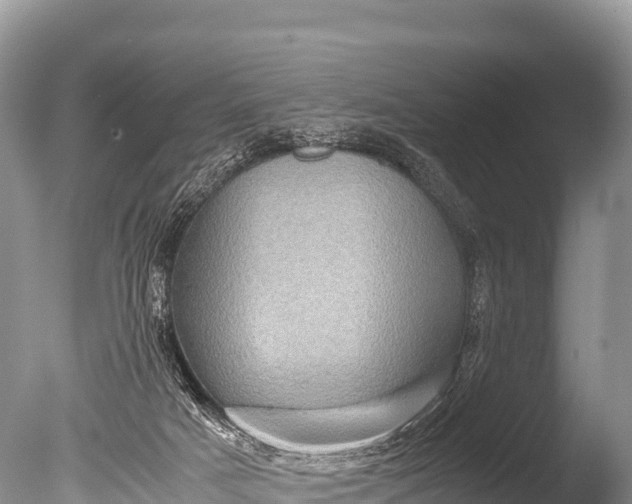 X0000085810025200703301537