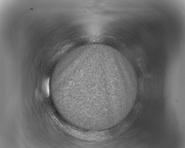 X0000085810028200703301537