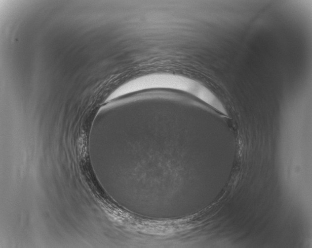 X0000085810029200703301537