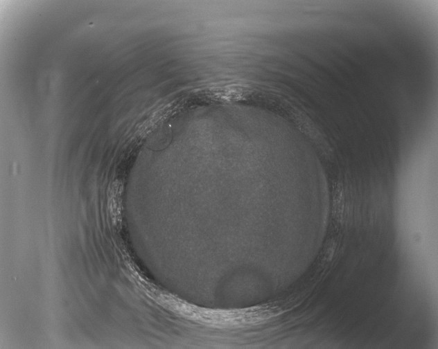 X0000085810030200703301537