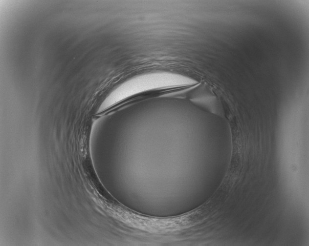 X0000085810031200703301537