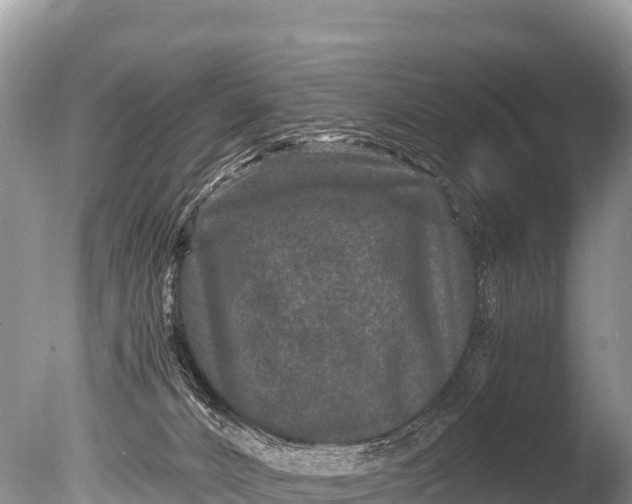 X0000085810032200703301537