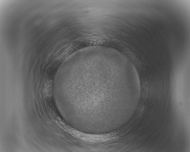 X0000085810034200703301537