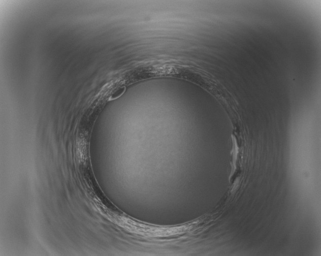 X0000085810035200703301537