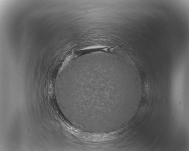 X0000085810037200703301537