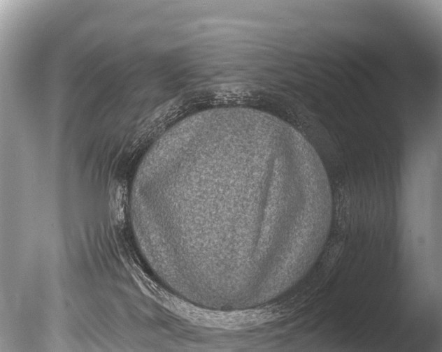 X0000085810038200703301537