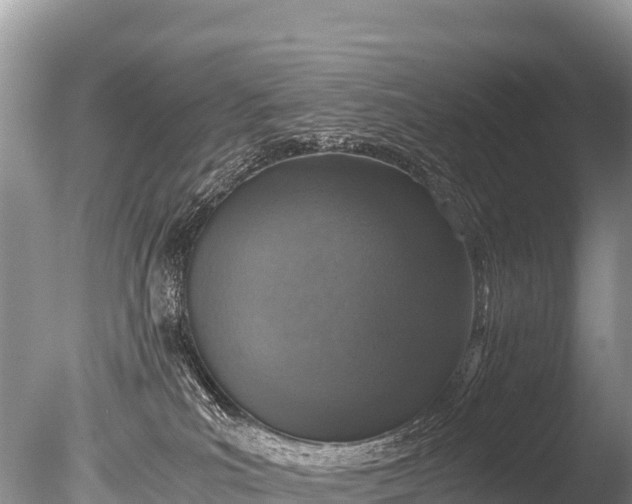 X0000085810039200703301537