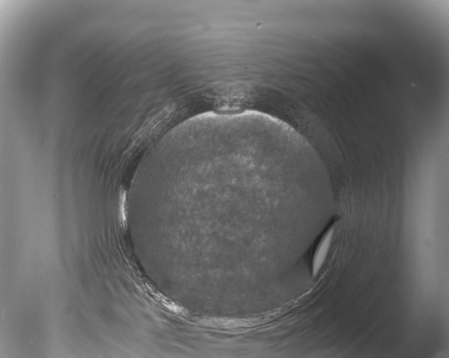 X0000085810041200703301537