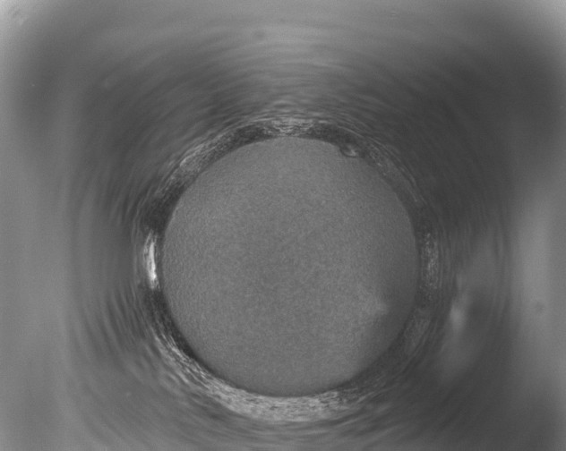 X0000085810042200703301537