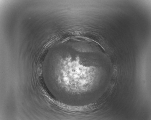 X0000085810043200703301537