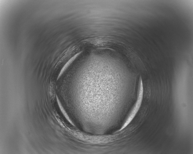 X0000085810044200703301537