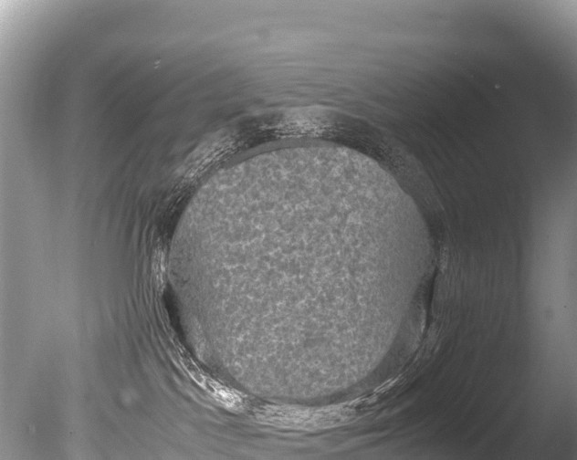 X0000085810045200703301537