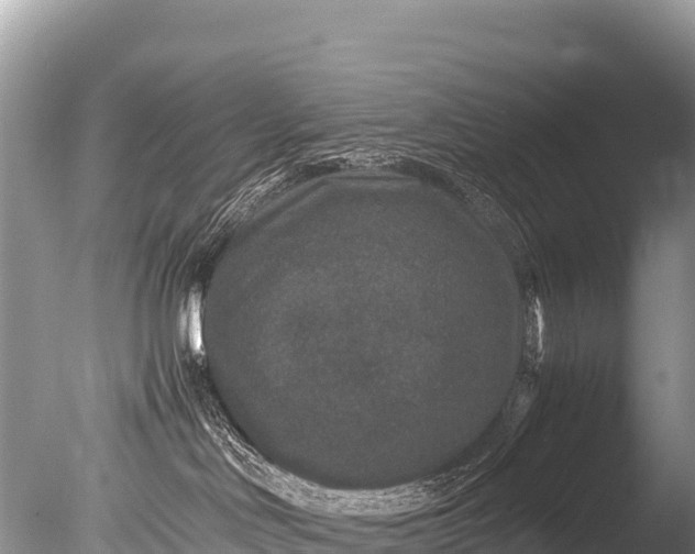 X0000085810046200703301537