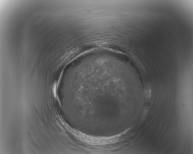 X0000085810047200703301537