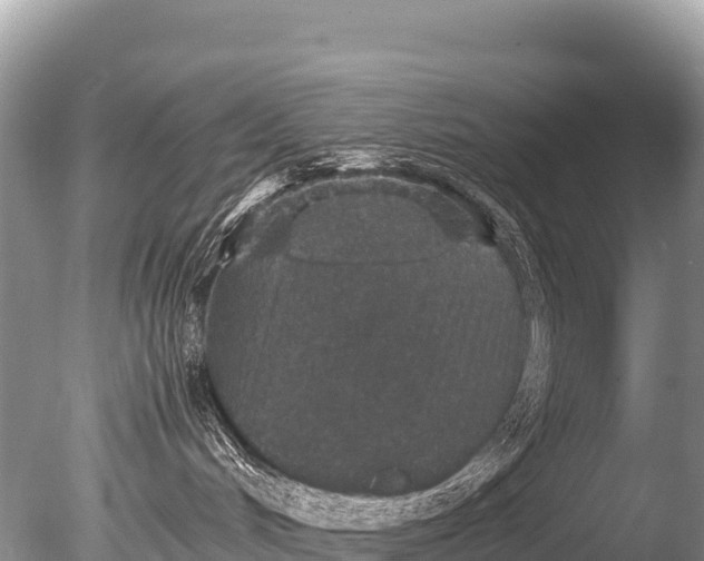 X0000085810048200703301537