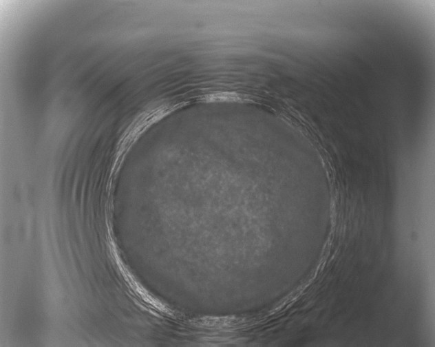 X0000085810049200703301536