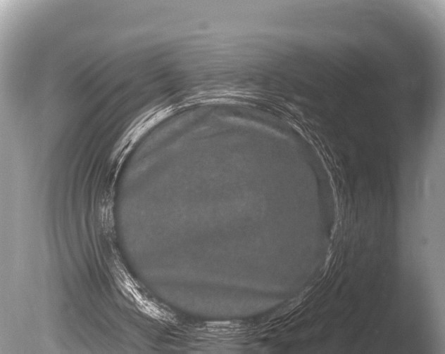 X0000085810050200703301536