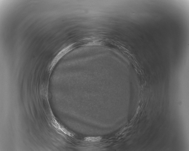 X0000085810051200703301536