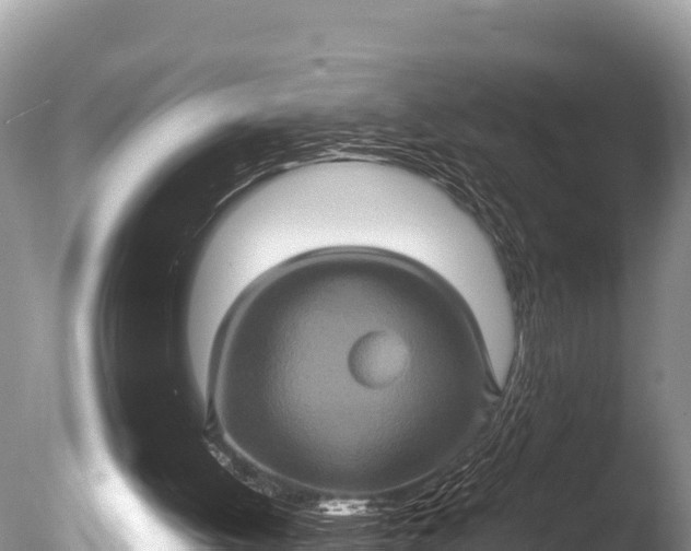 X0000085810052200703301536