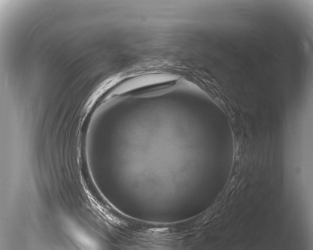 X0000085810054200703301536