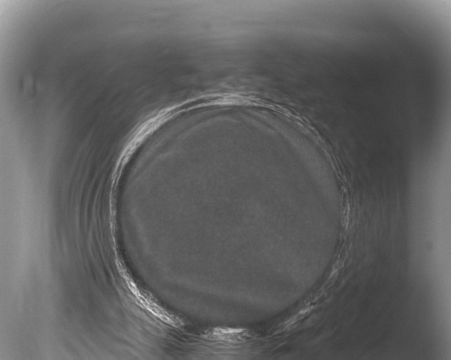 X0000085810055200703301536