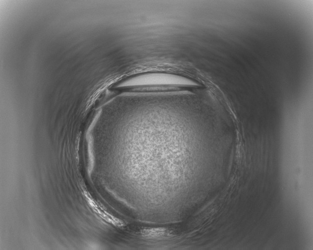 X0000085810058200703301536