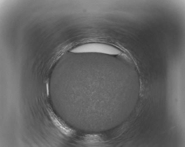 X0000085810061200703301536