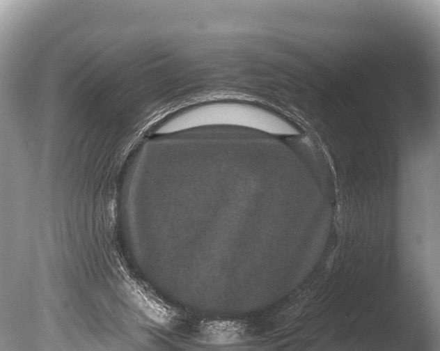 X0000085810063200703301536