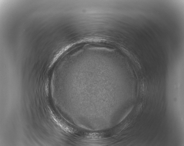 X0000085810064200703301536