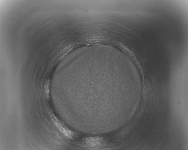 X0000085810065200703301536