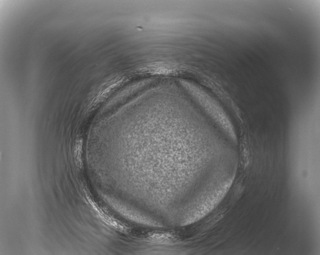 X0000085810066200703301536