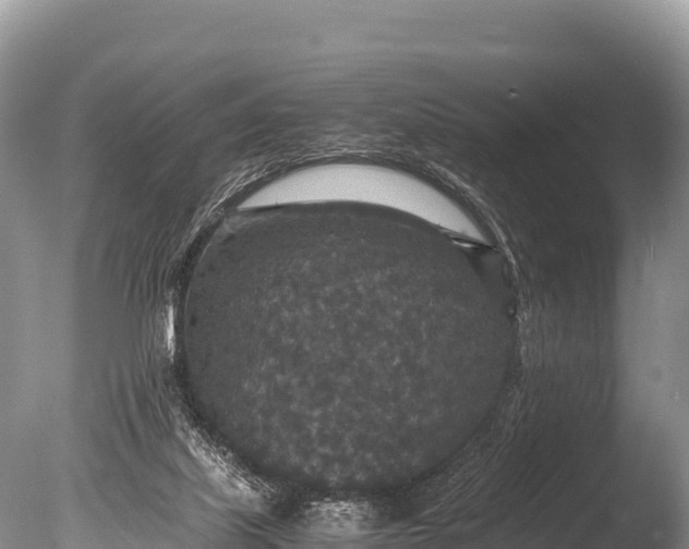 X0000085810067200703301536