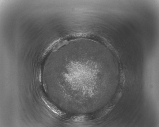 X0000085810068200703301536