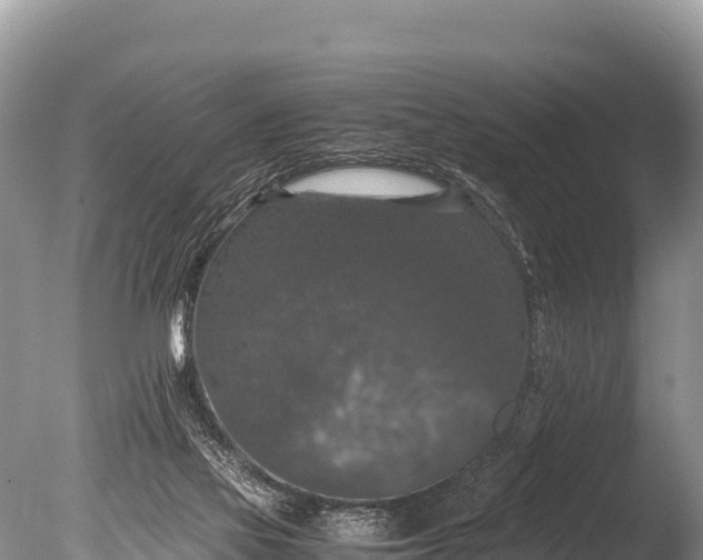 X0000085810069200703301536