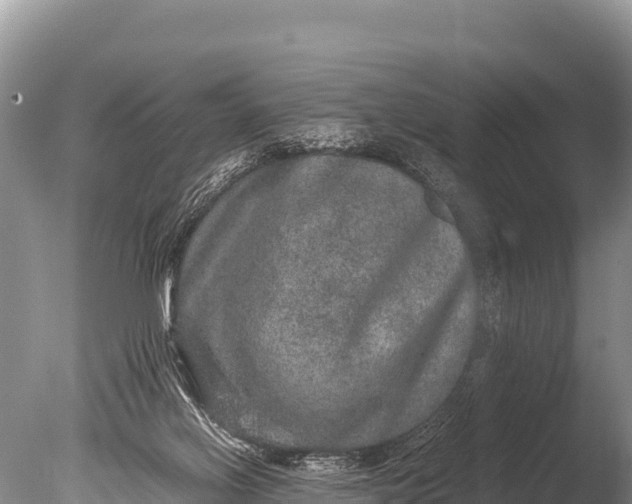 X0000085810070200703301536