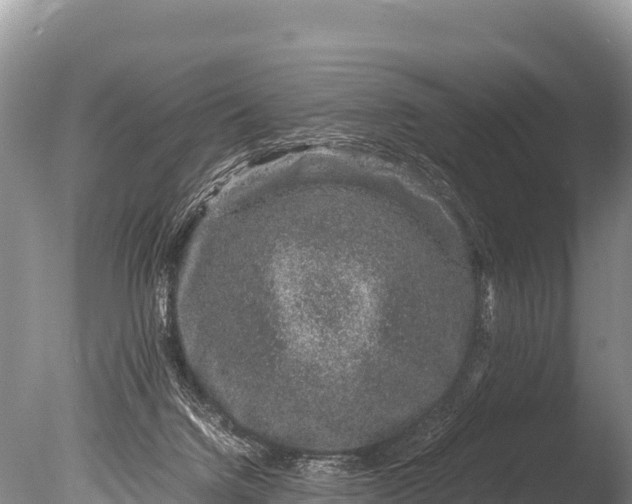 X0000085810072200703301536