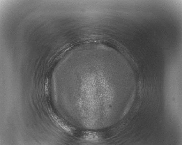 X0000085810073200703301536