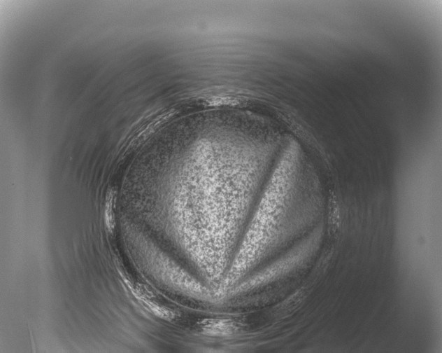 X0000085810074200703301536