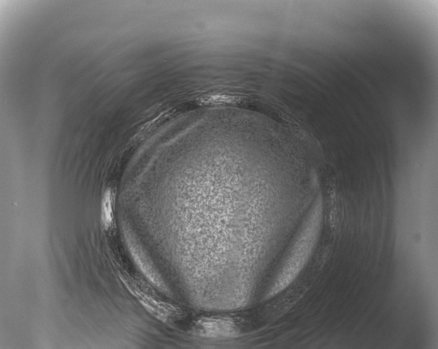 X0000085810075200703301536