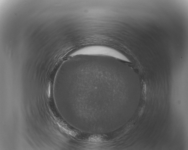 X0000085810076200703301536