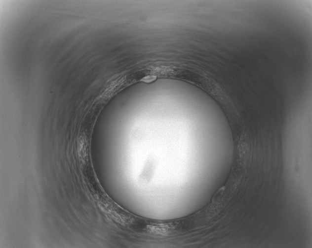 X0000085810079200703301536