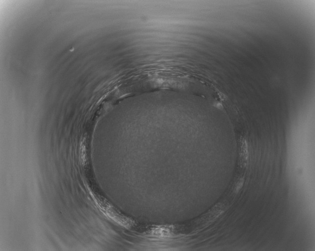 X0000085810080200703301536