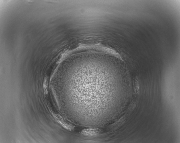 X0000085810082200703301536