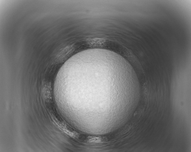 X0000085810083200703301536